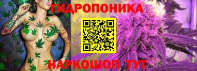 jwh Бердск