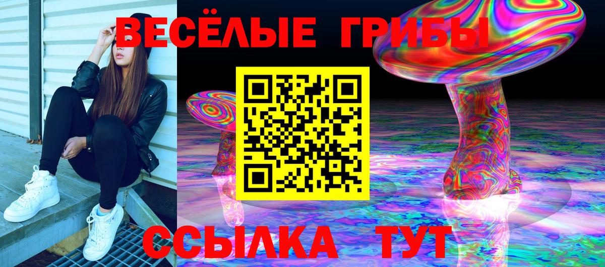 Северск  Псилоцибиновые грибы GOLDEN TEACHER  Вход с VPN 